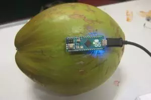 Tak terbayangkan, kelapa bisa dilengkapi GPS pelacak pencemaran sungai