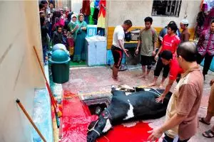 Keunikan dari tradisi Idul Adha dari 12 negara