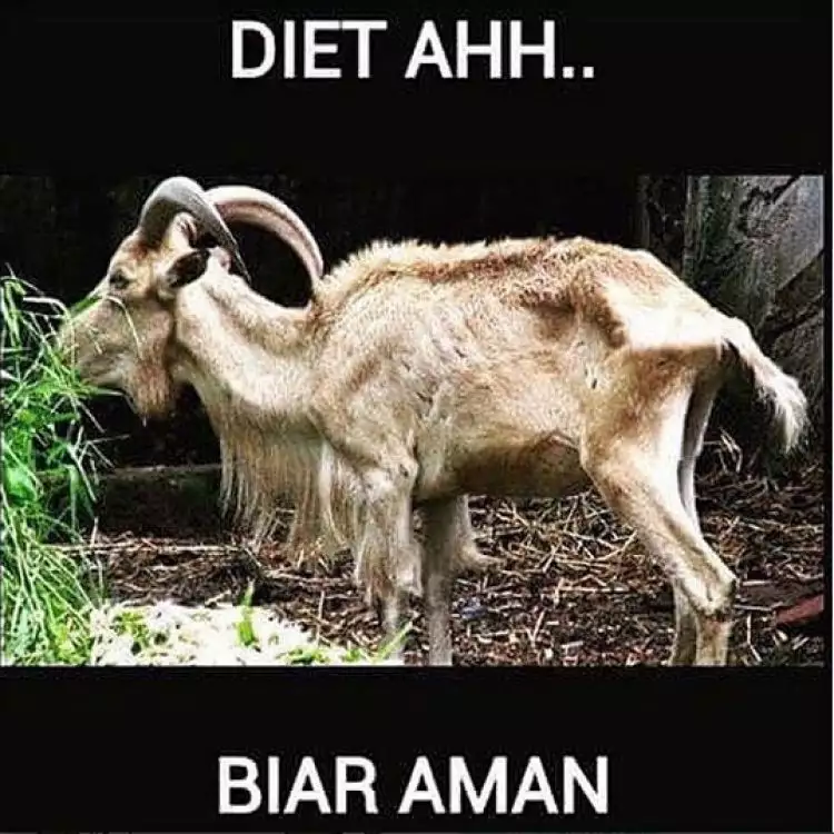 17 Meme kocak curhatan kambing jelang hari eksekusi