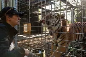 Akhir tragis para pawang hewan, tewas diserang hewan yang dirawatnya