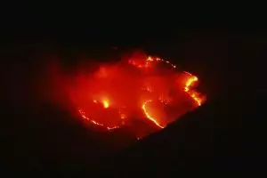 Hutan di Gunung Sindoro terbakar hebat