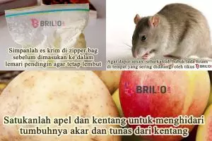 Tidak ingin ribet di dapur? Lakukanlah 11 tips ini untuk mengakalinya 