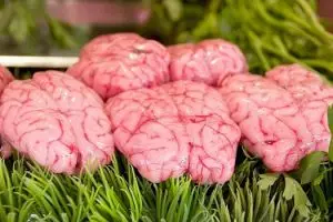 14 Barang paling gila yang dibawa masuk ke pesawat 