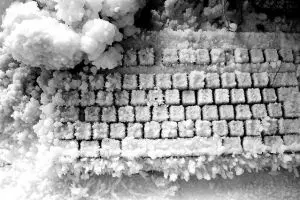 Tidak hanya penyakit, rasa dingin ternyata juga bisa menular 