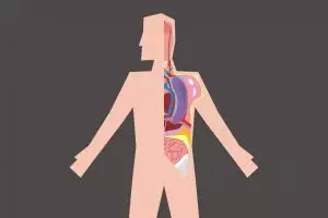 5 Rahasia dari orang yang tak pernah sakit