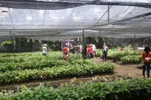 Sepuluh bulan berbisnis cokelat, omzetnya mencapai Rp 60 juta/hari