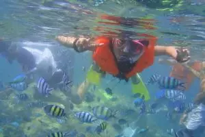 Mau jalan-jalan gratis hingga luar negeri? Begini caranya