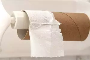 BAB yang sehat itu dengan posisi jongkok, tapi.....