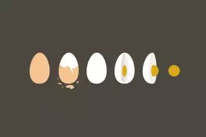 16 Fakta ini pasti bakal buat kamu pengen makan telur tiap hari, nyam!