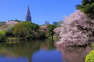 20 Tempat mengagumkan ini cukup jadi alasanmu pergi berlibur ke Tokyo