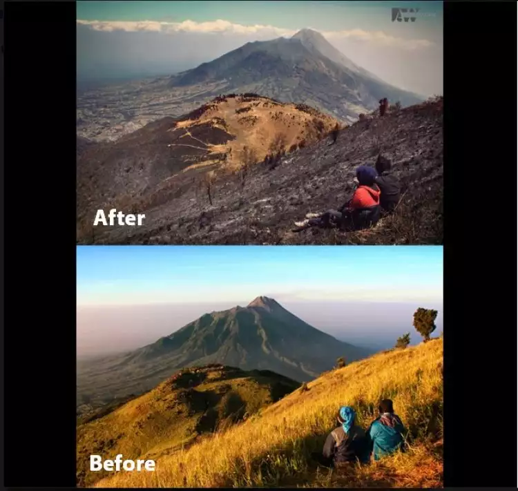 Foto before-after kebakaran hutan Gunung Merbabu, bikin miris!