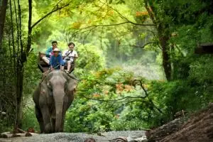 15 Wisata Chiang Mai nan memikat hati, dari sejarah hingga kamp gajah