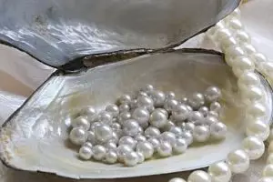 Wanita ini kaya mendadak karena menemukan kerang, kok bisa? 