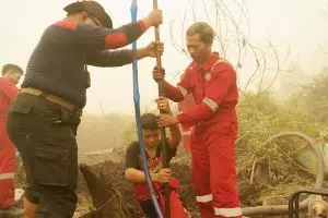 Mereka bekerja keras padamkan api di hutan Kalimantan Tengah, salut!