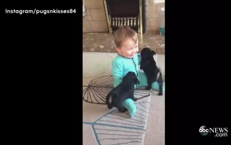 Lucunya bayi manusia bermain bareng bayi anjing ini