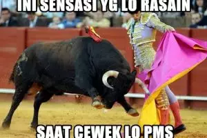25 Meme cewek lagi PMS yang bisa bikin kamu jadi senyum-senyum sendiri