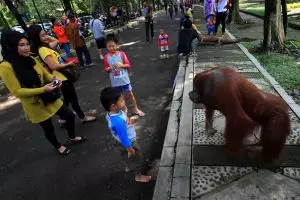 Nggak melulu Jogja,  Solo juga bisa jadi alternatif liburanmu