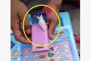 VIDEO: Alat sederhana ini mampu bikin puluhan bentuk kue, brilio!