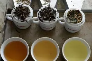 Minum teh 3-5 cangkir per hari bisa mengurangi risiko stroke