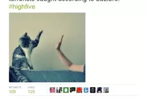 Status waspada teroris, ini yang di-Tweet warga Brussels 