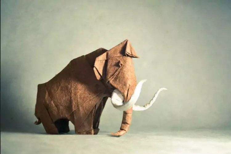 18 Origami hewan unik ini dijamin bikin kamu kagum, sumpah keren!