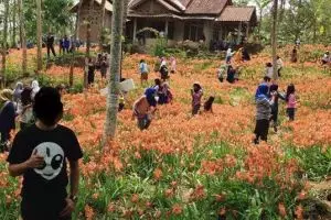 5 Tips berwisata yang beretika, pelajari daripada kamu dihujat netizen