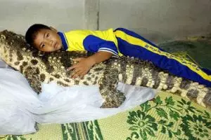 Potret manusia dengan hewan peliharaannya yang bikin geleng-geleng...