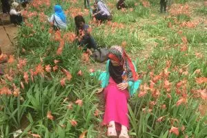 Menikmati alam tanpa merusak lingkungan itu lebih asyik