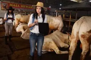 10 Fakta tak terduga kerennya miliki pasangan peternak, kamu pengen?