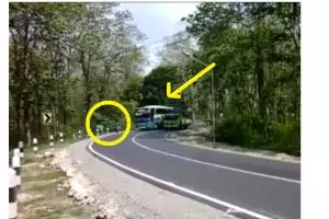 VIDEO: Aksi ugal-ugalan bus nyaris seruduk pemotor di tikungan sempit