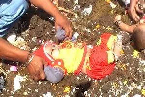 Percaya bawa hoki, orangtua ini rela ceburkan anaknya ke kotoran sapi