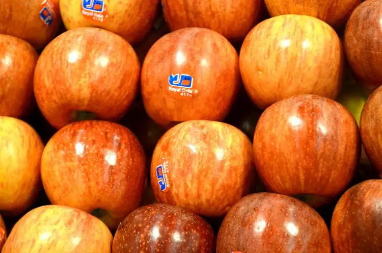 10 Jenis apel ini pasti pernah kamu cicipi, mana yang favorit?