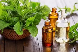 4 Jenis aromaterapi ini dipercaya bisa atasi gangguan kesehatan kamu