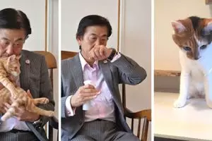 Jepang ciptakan parfum aroma kucing untuk manusia, ada-ada saja