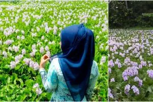 Ini tempat hits baru di Jogja yang Instagramable, nginjak nyemplung!