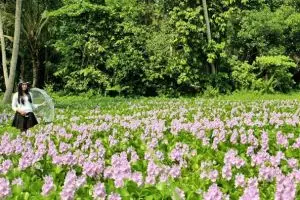 20 Tempat tersembunyi di Jogja yang Instagramable, siapkan kameramu!