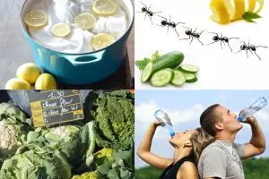 Rahasia keseharian yang nggak kamu tahu, tapi sekarang kamu perlu tahu