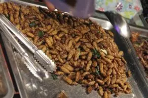 10 Kuliner ekstrem di Jogja, ngeri-ngeri sedap! 