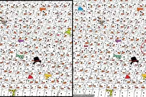 Gambar ini bikin ribuan netizen pusing, bisakah kamu menemukan panda?