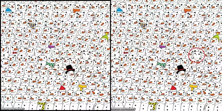 Gambar ini bikin ribuan netizen pusing, bisakah kamu menemukan panda?
