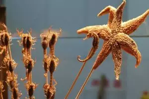 11 Makanan gorengan paling aneh sedunia, ada Coca Cola goreng!