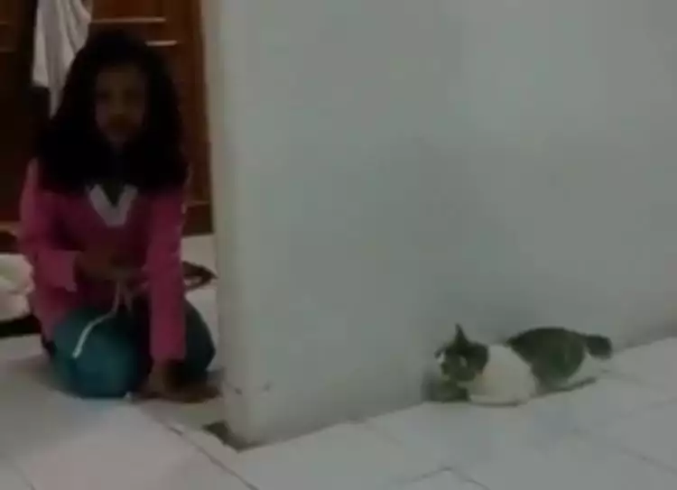 Tingkah nakal gadis kecil ini ke kucingnya bikin tertawa ngakak
