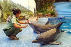 Ticta, dokter hewan cantik yang dedikasikan hidupnya untuk satwa liar