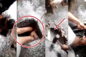 Detik-detik penyelamatan anak kecil terseret arus air, menegangkan!