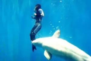 8 Peristiwa luar biasa hewan menyelamatkan manusia dari maut, wow!