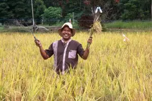 Bosan sebagai mandor batu bara, Bambang sukses jadi petani organik