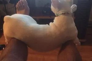 10 Kegiatan ini tanpa kamu sadari sama dengan olahraga, benar nggak?