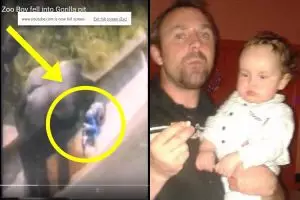 Kisah luar biasa, pria ini pernah diselamatkan gorila 30 tahun lalu