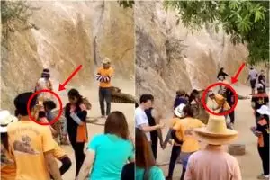 Harimau dipukuli pekerja suaka hewan liar & jadi tontonan