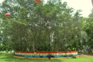 6 Lokasi wisata ini punya mitos bikin hubungan langgeng, kunjungi ya!